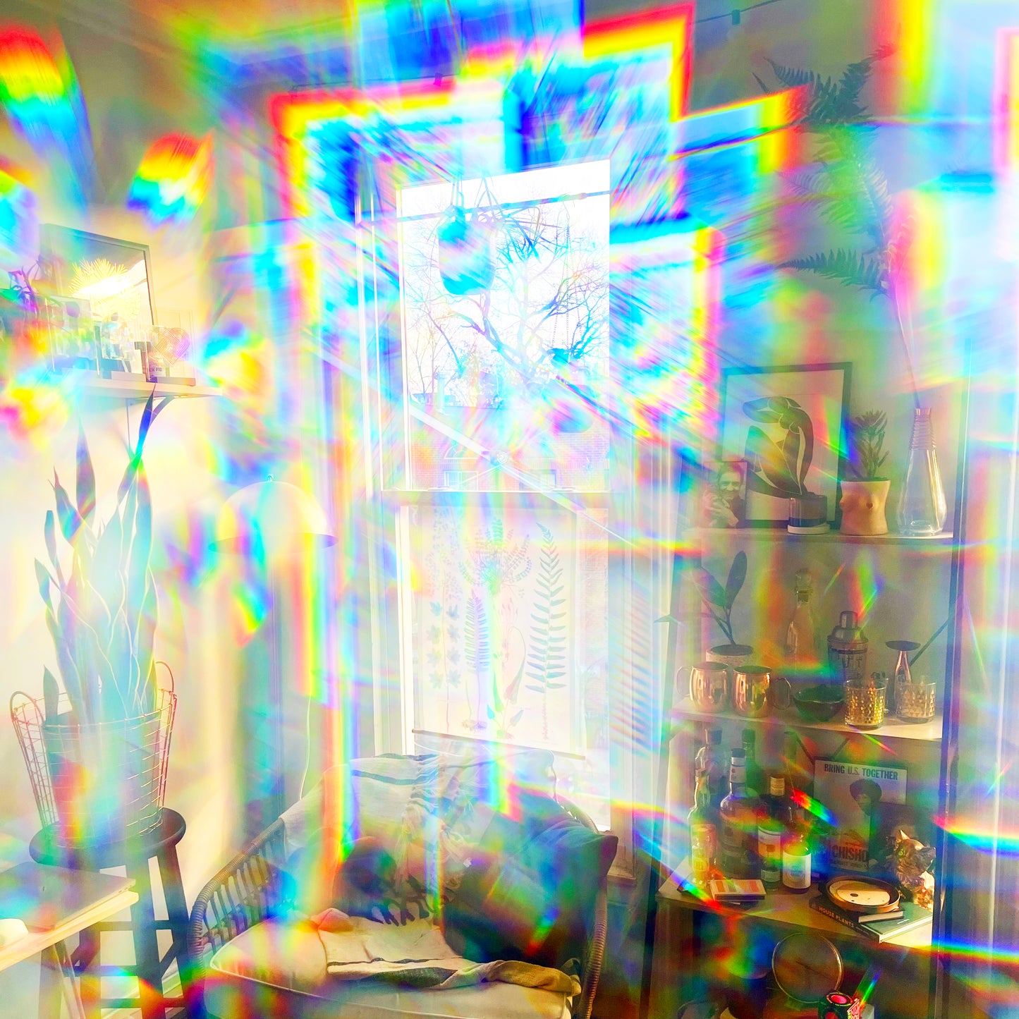 Rainbow Lens
