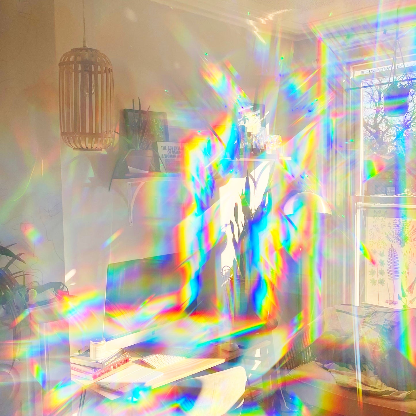 Rainbow Lens