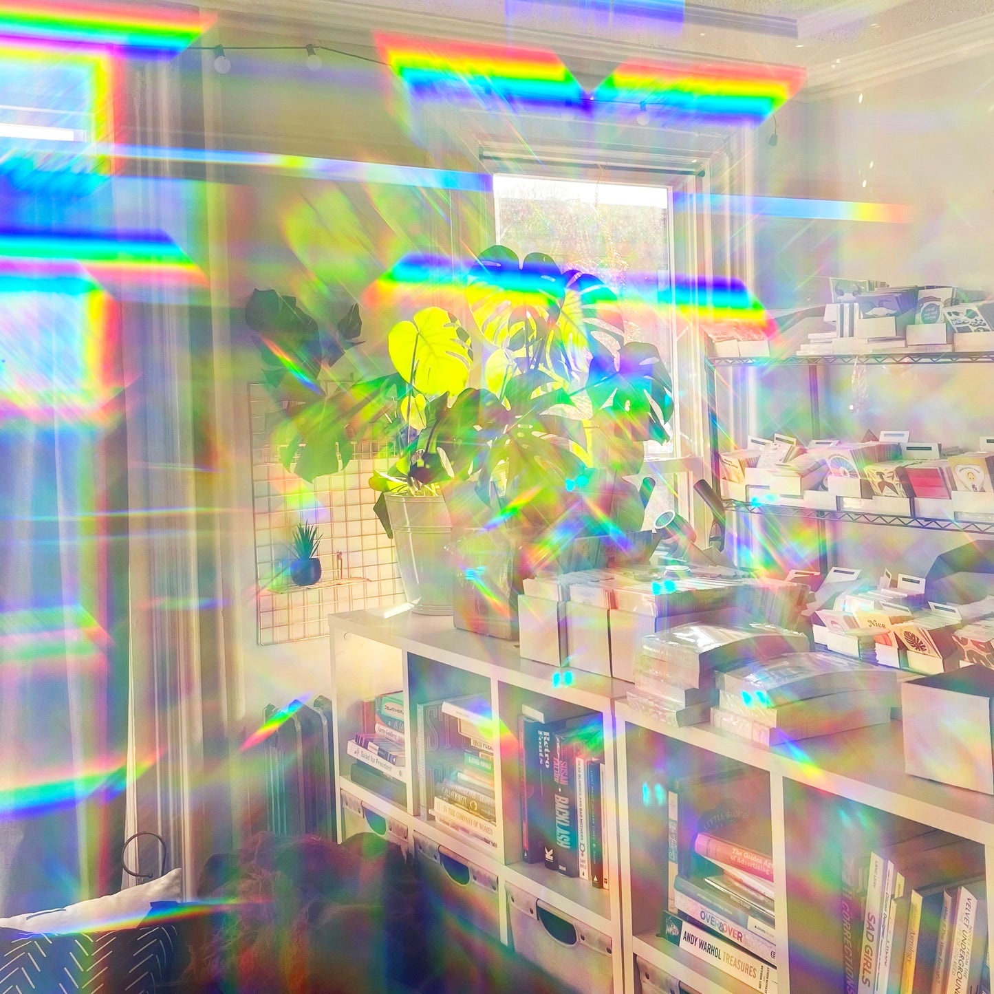Rainbow Lens