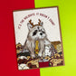 Holiday Raccoon