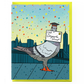 Pigeon Graduation Card