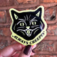 Glow In The Dark Creepy Cat Sticker