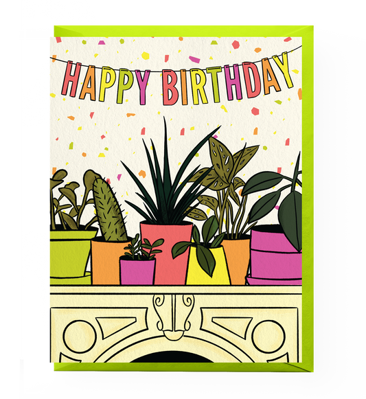 House Plant Birthday