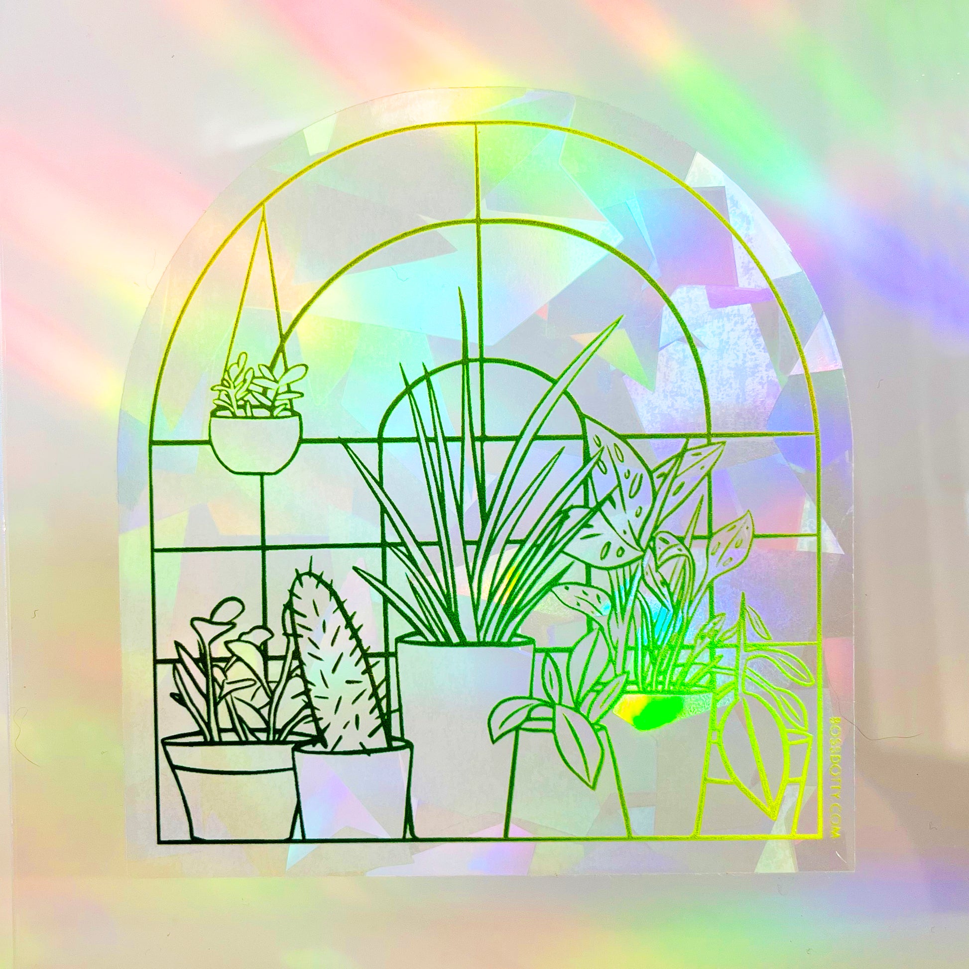 Plant Window Rainbow Suncatcher Sticker