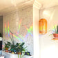 House Plants Rainbow Suncatchers | Set of 3